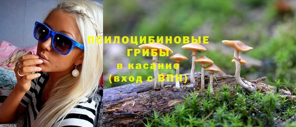 jwh Белокуриха