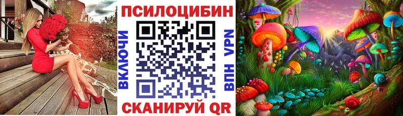 omg как войти  Фёдоровский  Галлюциногенные грибы Cubensis  купить  